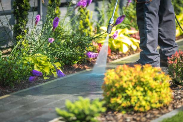 Best Fence Cleaning  in Wrightsville, AR