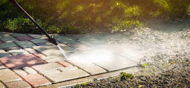 Animal Enclosure Cleaning in Wrightsville, AR